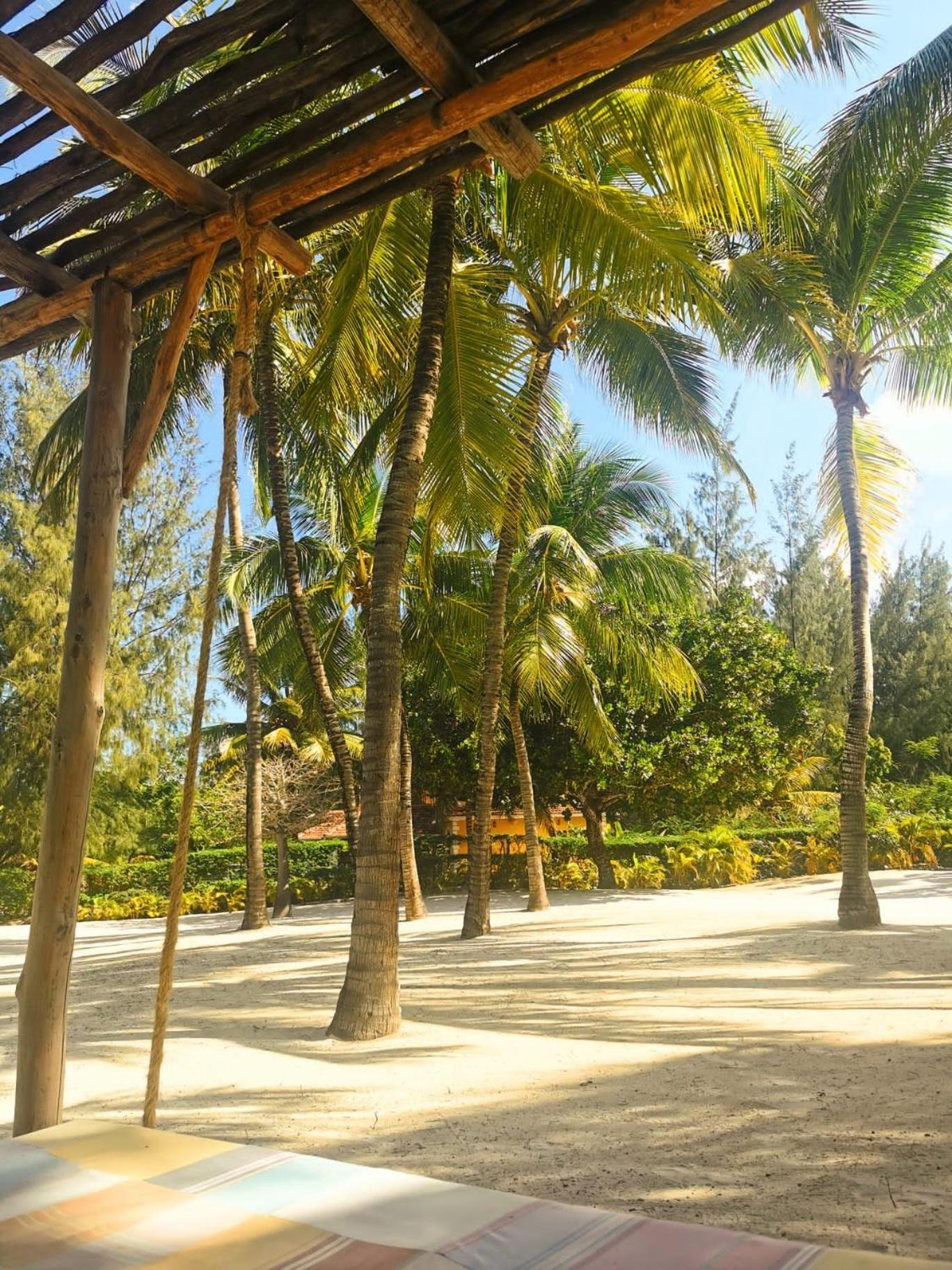 Zumzum Beach House Bed & Breakfast Kinondo Dış mekan fotoğraf